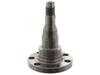 ES#2870085 - 3055011171 - Stub Axle - Priced Each - Rear stub axle for vehicles with rear drum brakes - Febi - Volkswagen