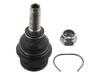 ES#2872087 - 701407187A - guide joint with nut - Febi - Volkswagen