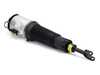 ES#4685858 - AS-2892 - Front Air Suspension Strut - Right - Front Axle, Right Side - Arnott - Volkswagen