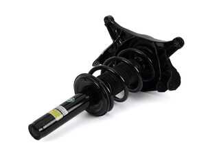 ES#4941037 - SK-3842 - Front Coil Strut Assembly - Right - Front Axle, Right Side - Arnott - Audi
