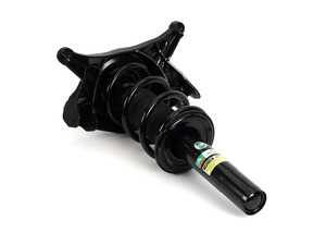 ES#4941038 - SK-3843 - Front Coil Strut Assembly - Left - Front Axle, Left Side - Arnott - Audi
