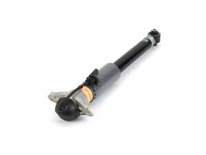 ES#4940884 - MR-3853 - Rear Magnetic Shock - Right - Rear Axle, Right Side - Arnott - Audi