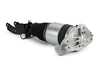 ES#4419101 - AS-3165 - Front Air Suspension Strut - Left - Front Axle, Left Side - Arnott - Audi Volkswagen Porsche