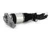 ES#4419100 - AS-3164 - Front Air Suspension Strut - Right - Front Axle, Right Side - Arnott - Audi Volkswagen Porsche