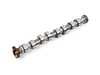 ES#514845 - 11317587755 - Camshaft Inlet Side - Stock cam for the head - Genuine MINI - MINI