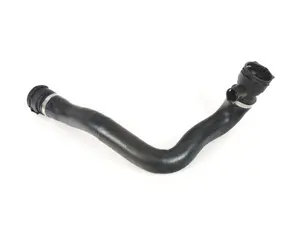 Radiator Hose - Lower