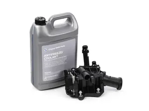 Thermostat Replacement Kit