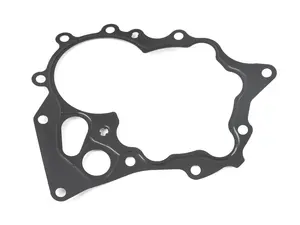 Water Pump Gasket 