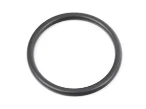 Thermostat Housing O-Ring - 55x5.33mm