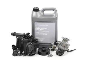 Water Pump & Thermostat Kit - B46 2.0L
