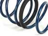 ES#4841479 - D100-0939 - Dinan Performance Spring Set - Performance springs for your M240i xDrive - Lowers the front and rear 22mm (7/8") - Dinan - BMW