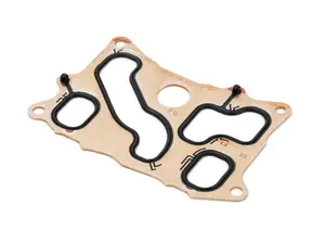 Engine Oil Cooler Gasket