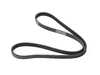 ES#2550184 - 98010225102 - Rubber Accessory Belt - Poly-rib belt for power steering and air conditioning - Continental - Porsche