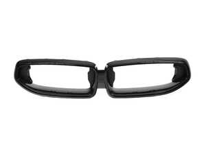 ES#4441401 - 51138098220 - FRONT ORNAMENTAL GRILLE BLACK - Genuine BMW - BMW