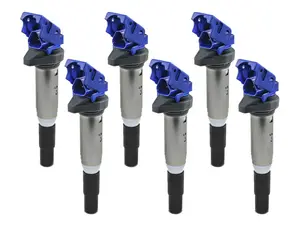 SCORCHER High-Performance Ignition Coil - Set Of 6