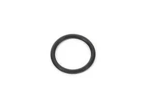 Camshaft Adjustment Valve Seal