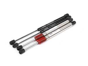 ES#4908500 - frnktrnkKT - Frunk And Trunk Lift - Pneumatic Supports For Tesla Model 3  - EVANNEX - 