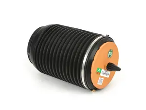 Rear Air Suspension Spring - Right