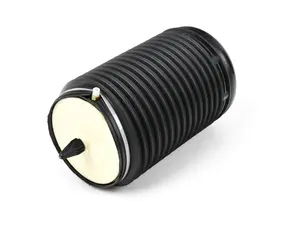 Rear Air Spring Damper - Left