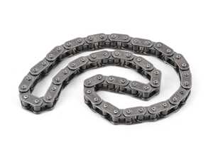 ES#4920322 - ZC0310 - Engine Oil Pump Chain - Chain that drives the oil pump - Ina - BMW