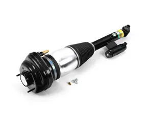 Rear Air Strut Assembly - Right