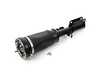 ES#5388771 - 37116761444 - Front Air Strut Assembly - Right - Unity - BMW
