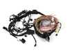 ES#4206896 - 61119826348 - FRONT LEFT REPAIR WIRING SET - Genuine BMW - BMW