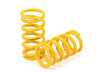 ES#4819276 - 12001001 - Koni GTS Coilovers - Look stylish with maximum suspension practicality with KONI GTS. - Koni - Volkswagen