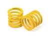 ES#4819276 - 12001001 - Koni GTS Coilovers - Look stylish with maximum suspension practicality with KONI GTS. - Koni - Volkswagen