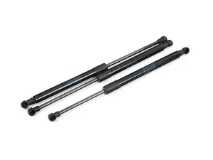 Hood And Trunk Strut Kit