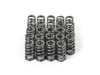 ES#4716139 - SPR-FE20BE-24 - Performance Conical Valve Spring - Set Of 24 - High performance valve springs. 75lb @ 37mm, 155lb @ 10mm - Supertech - BMW