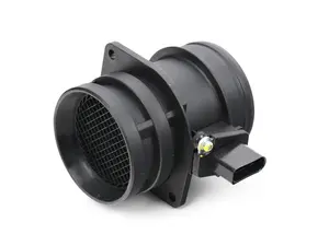 Mass Air Flow Sensor (MAF)