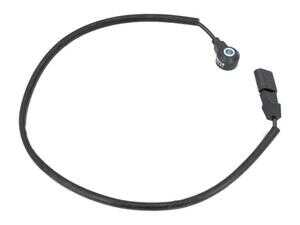 ES#4900600 - 07K905377E - VW - Engine/Transmission management - Meyle - Audi Volkswagen