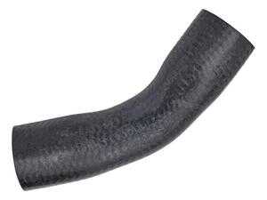 ES#4900623 - 1112030282 - Mercedes-Benz - Engine/Cooling - Meyle - Mercedes Benz