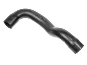 Radiator Hose - Lower