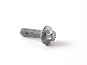 Oil Filter Housing Bolt - Rear 