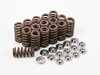 ES#5425003 - IEVTVC3 - Performance Valve Spring/Retainer Kit *Scratch And Dent* - High quality performance valve springs and titanium retainers - Scratch & Dent - Audi Volkswagen