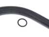 ES#5425959 - 11531438633 - Expansion Tank Hose - Replacement for broken or weathered expansion tank hose. - URO - BMW