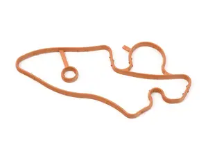 Coolant Flange Gasket