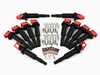 ES#5388664 - N73PIGNSVKT - Performance Ignition Service Kit - Everything you need to service your ignition system including NGK spark plugs and Bav Auto ignition coils - Assembled By ECS - BMW