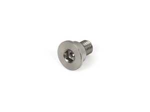 ES#2162802 - 6-ECS-001 - Stainless Brake Rotor Set Screw - M8x1.25x14mm - Priced Each - Made from stainless steel so it will not seize into the hub - ECS - BMW MINI