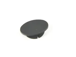 Blind Plug