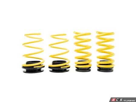 ES#4447974 - 27330065 - ST Adjustable Lowering Springs - Suspension Techniques - 