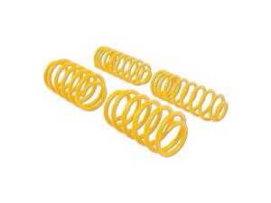 ES#4447985 - 28250070 - ST Lowering Springs - Suspension Techniques - 