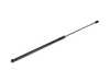 ES#2740081 - 8U0823359B - Hood Strut - Keep your hood propped - Genuine Volkswagen Audi - Audi