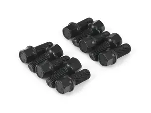 ECS Lug Bolts (Set Of 10) - 27mm
