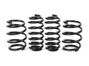ES#4698685 - EMD-TT8S-LS - EMD Auto Lowering Spring Kit - Approximately 0.8" Front & Rear drop - Emmanuele Design - Audi