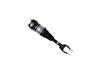 ES#4029182 - 44-291044 - Front Air Suspension Strut - Right - Front Axle, Right Side - Bilstein - Mercedes Benz