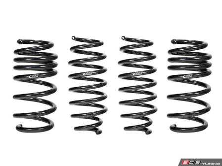 ES#4500228 - E10870010422 - Eibach Pro-Kit for 17-20 Tesla 3 Standard Range - Eibach - 