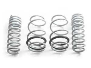 Lowering Spring Set